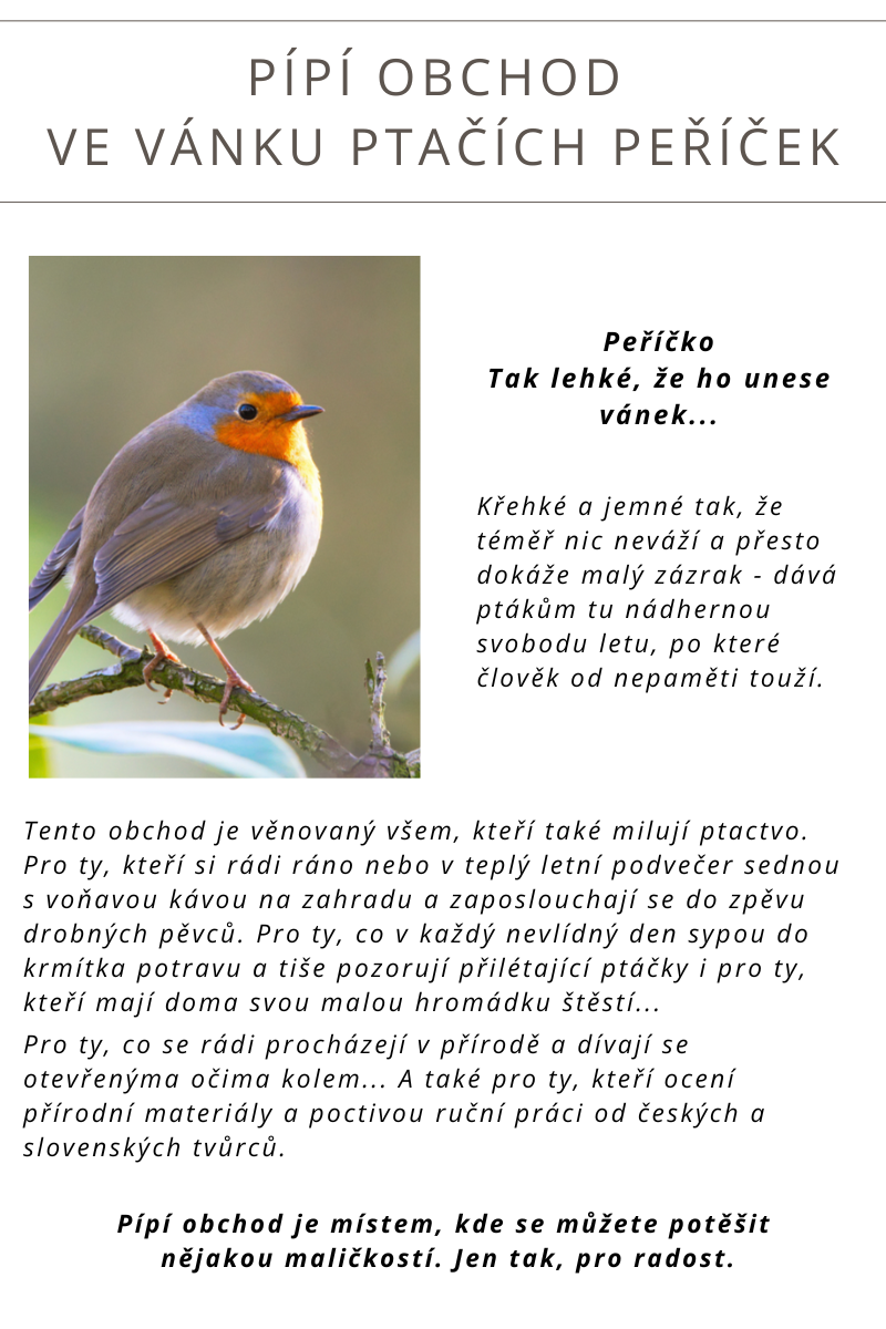 BLOG o Pípí obchodu